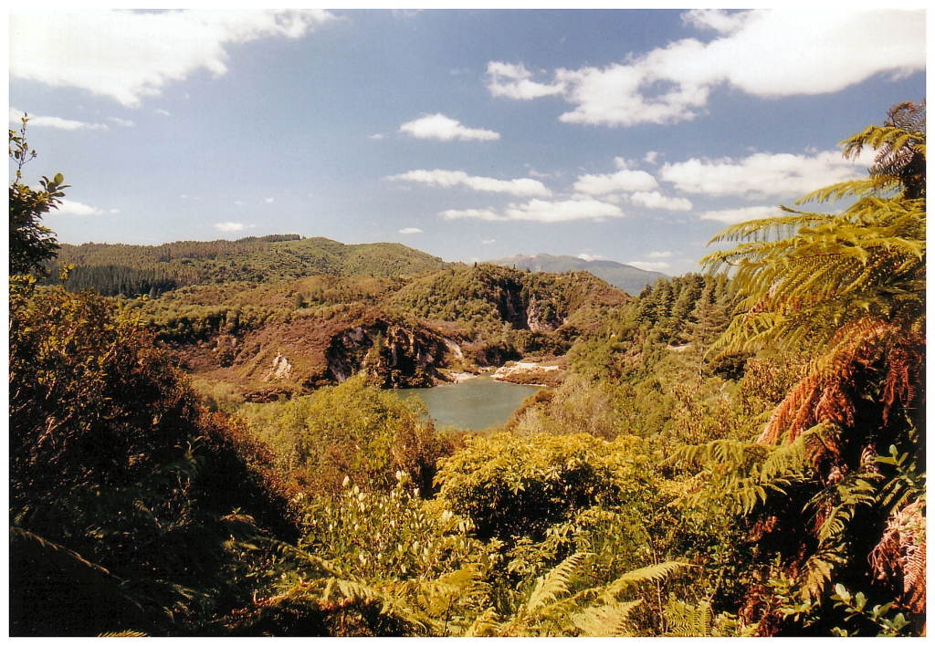 05 - Mt Egmont (10).jpg